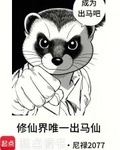 修仙界唯一出马仙
